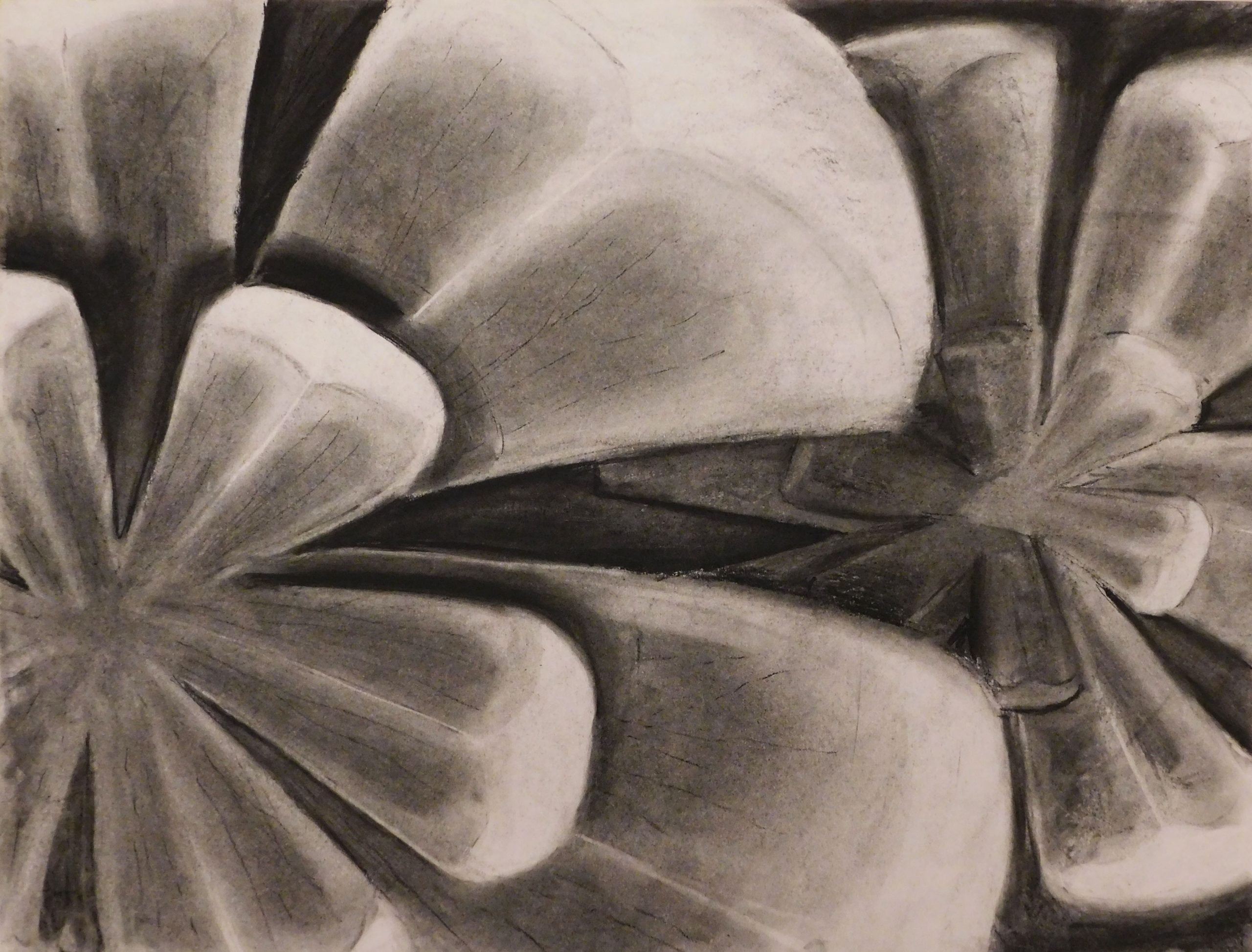 Charcoal Abstract_Pinecone