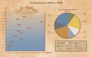 Infographic: Immigration