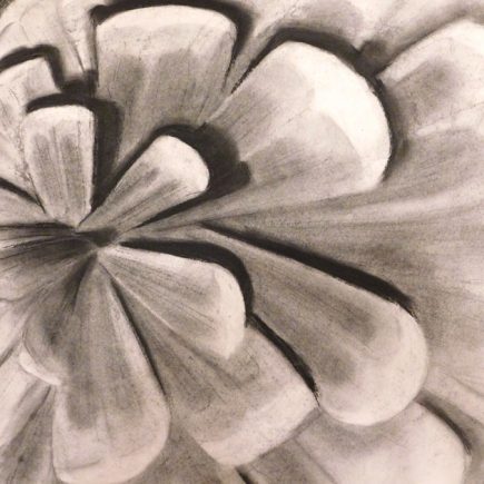 charcoal-zoom-in_pinecone